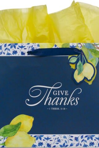 1220000323568 Large Landscape Inspirational Scripture Gift Bag