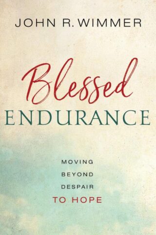 9780835817776 Blessed Endurance : Moving Beyond Despair To Hope
