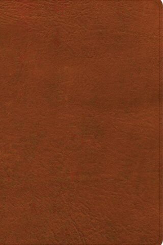 9798384501725 Large Print Personal Size Reference Bible Digital Study Edition