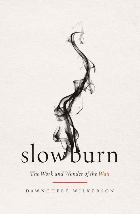 9781400345519 Slow Burn : The Work And Wonder Of The Wait