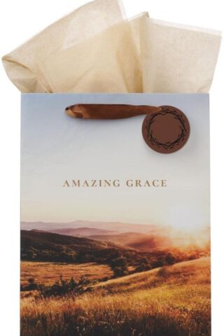 1220000328686 Large Portrait Inspirational Faith-inspired Gift Bag