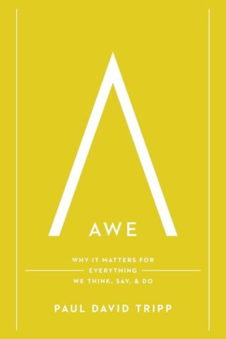 9781433597558 Awe : Why It Matters For Everything We Think