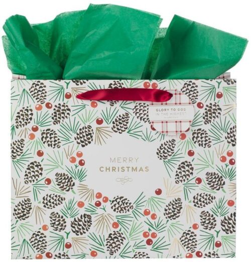 1220000325401 Large Landscape Inspirational Scripture Gift Bag