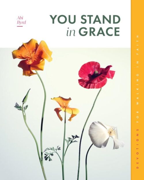 9781645075097 You Stand In Grace