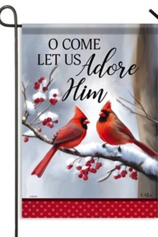 096069535287 Adore Him Cardinals Flag