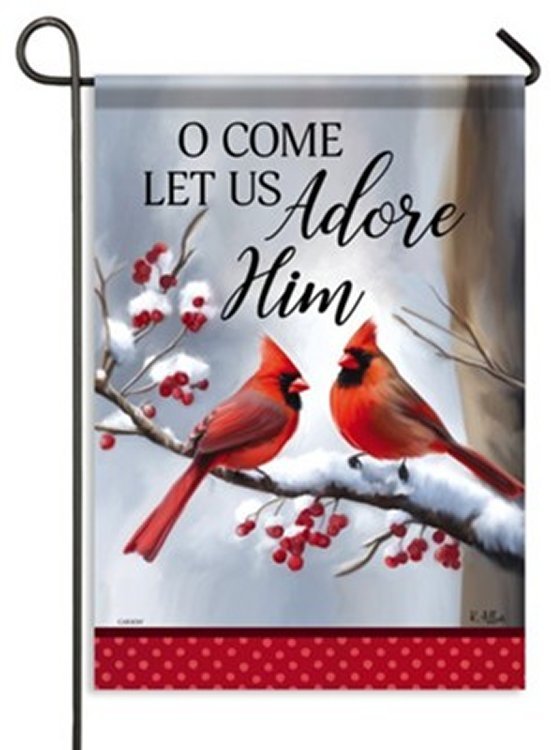096069535287 Adore Him Cardinals Flag