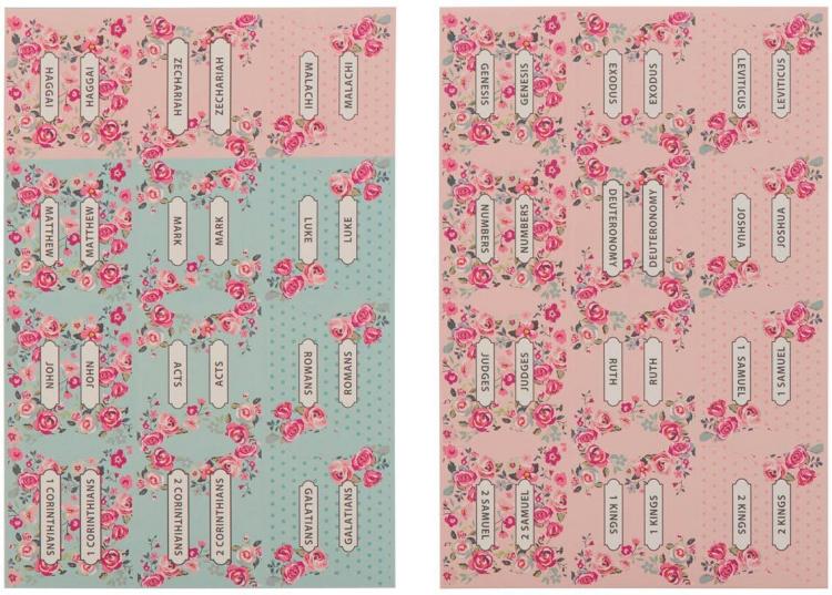 1220000323599 Colored Bible Indexing Tabs for Women & Girls: Self Adhesive Pre-cut Labels