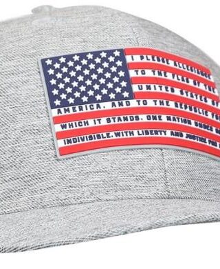 612978646519 Hold Fast Pledge Allegiance