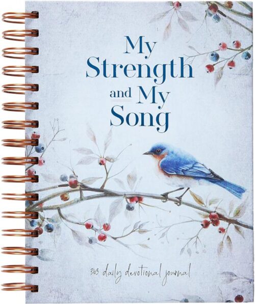 9781424571260 My Strength And My Song