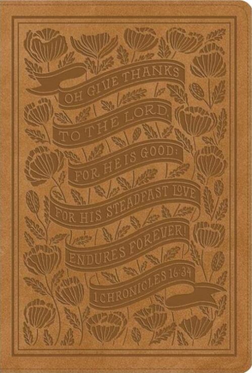 9798874902773 Womens Study Bible