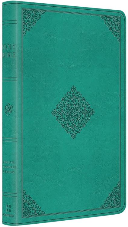 9798874903336 Value Thinline Bible