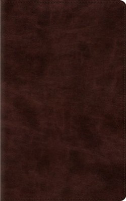 9798874903541 Thinline Bible