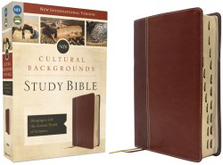 9780310467793 Cultural Backgrounds Study Bible