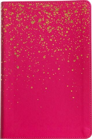 9781430082750 Kids Bible