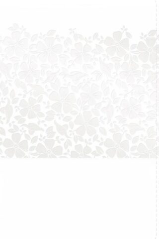 9781535950893 Keepsake Brides Bible