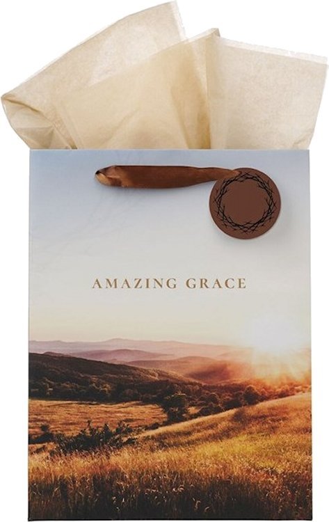 1220000328686 Large Portrait Inspirational Faith-inspired Gift Bag