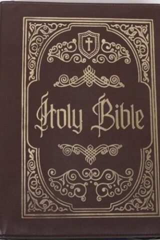 788200545223 Holy Bible Ornate Gold XL