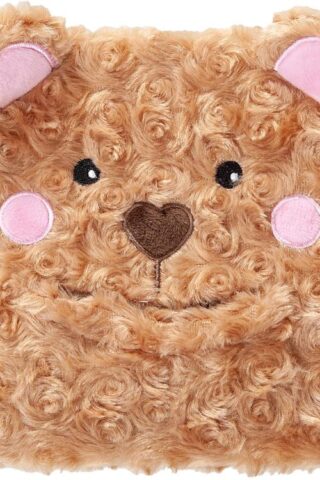 9781424571949 Prayer Bear