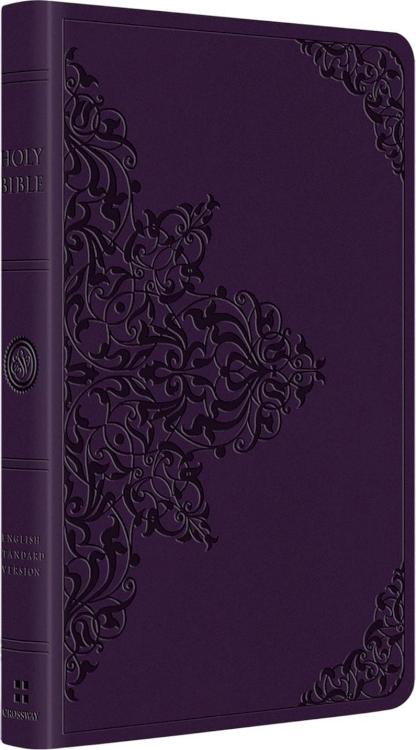 9781433566844 Large Print Value Thinline Bible