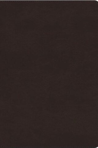 9798874906337 Giant Print Bible