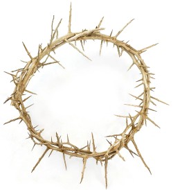 782860488982 Crown Of Thorns
