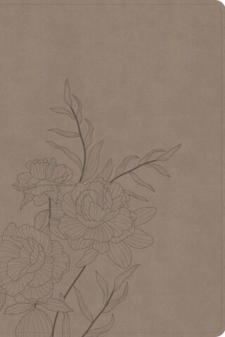 9798384540755 Large Print Thinline Bible Digital Study Edition