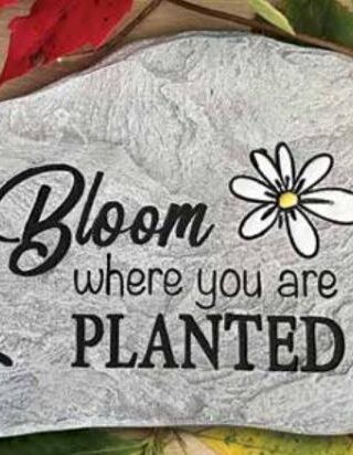 785525307246 Bloom Where You Are Planted Garden Stone