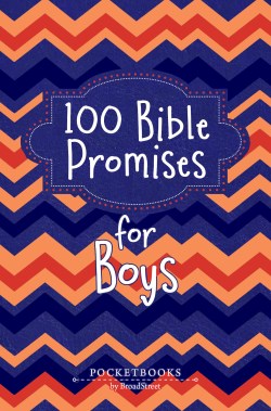 9781424571604 100 Bible Promises For Boys