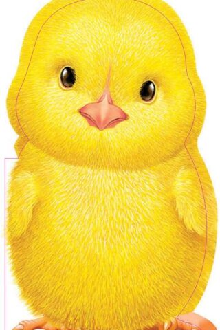 9781438050126 Furry Chick