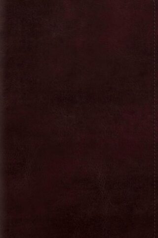 9798874906573 Giant Print Personal Size Bible