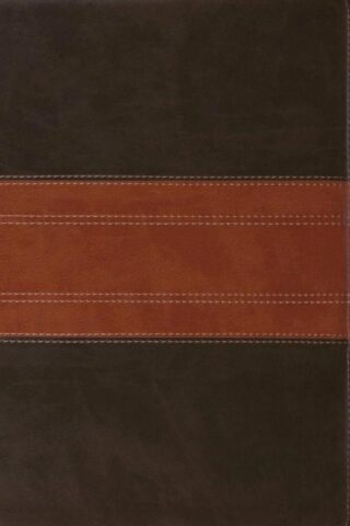 9798874906429 Giant Print Personal Size Bible