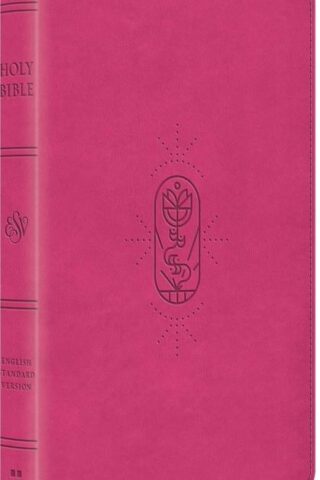 9798874907853 Kids Bible Thinline