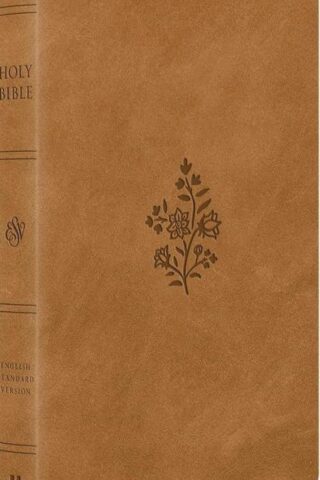 9798874909017 Large Print Value Thinline Bible